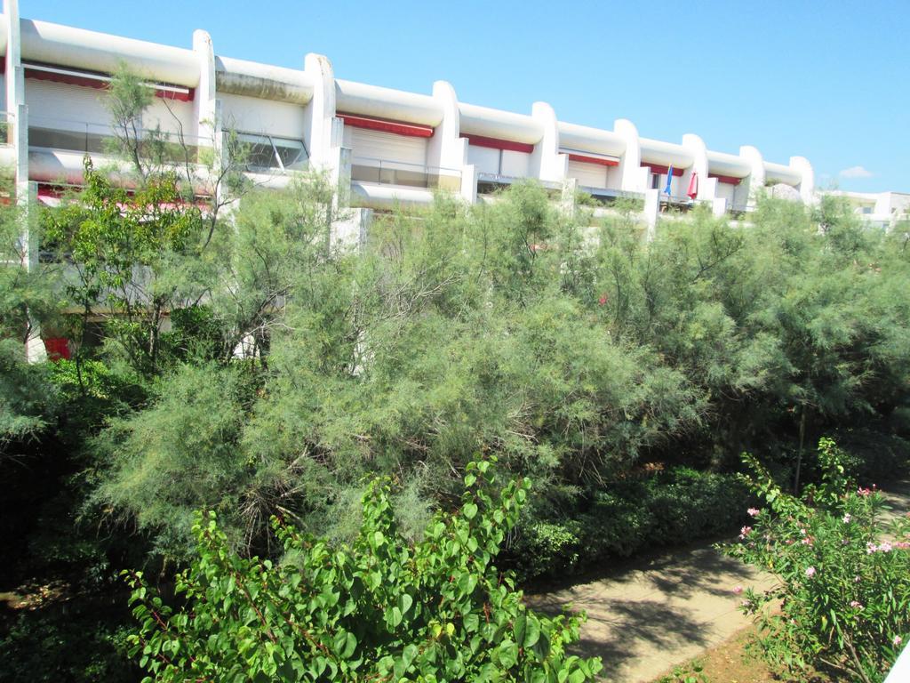 Vittoria Immobilier 12 -Reglement Sur Place - Cheques Vacances Acceptes La Grande-Motte Exterior foto